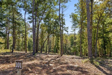 Lot 101 South Wind Court Morganton GA 30560