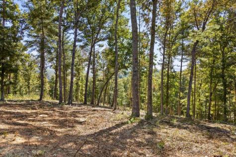 Lot 101 South Wind Court Morganton GA 30560