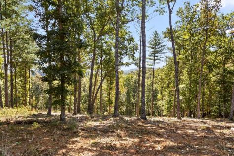 Lot 101 South Wind Court Morganton GA 30560