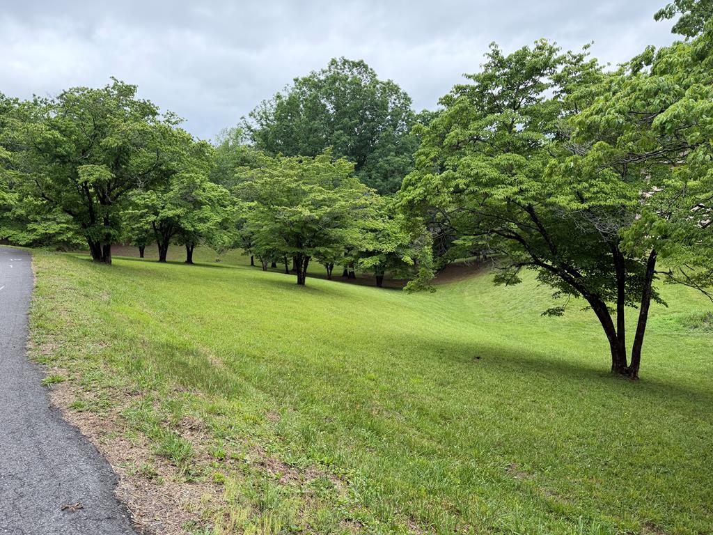 Lot 4 Drake Ridge Drive Hayesville NC 28904
