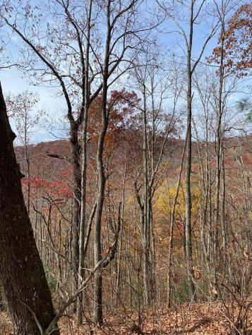 L334 335 Brushy Top Drive Ellijay GA 30540