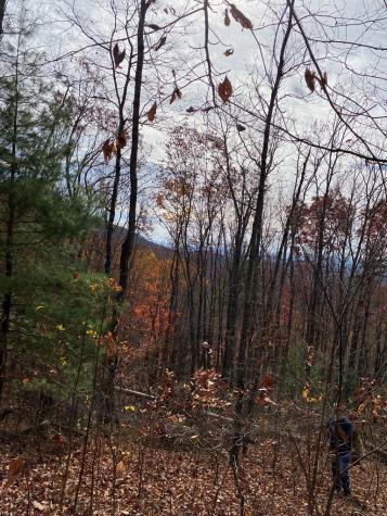 L334 335 Brushy Top Drive Ellijay GA 30540