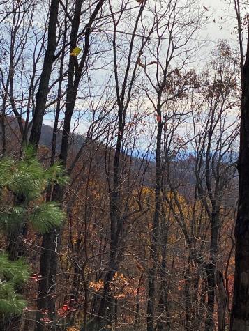 L334 335 Brushy Top Drive Ellijay GA 30540