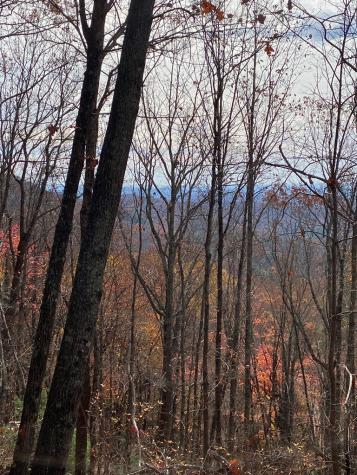 L334 335 Brushy Top Drive Ellijay GA 30540