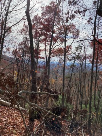 L334 335 Brushy Top Drive Ellijay GA 30540