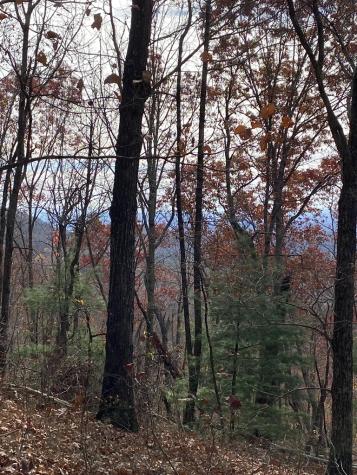 L334 335 Brushy Top Drive Ellijay GA 30540