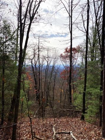 L334 335 Brushy Top Drive Ellijay GA 30540