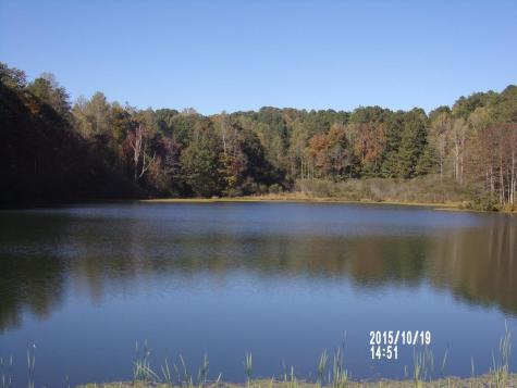 L334 335 Brushy Top Drive Ellijay GA 30540