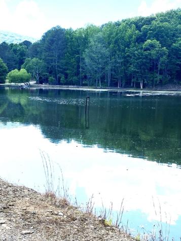 L334 335 Brushy Top Drive Ellijay GA 30540