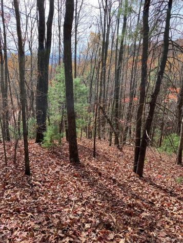 L334 335 Brushy Top Drive Ellijay GA 30540