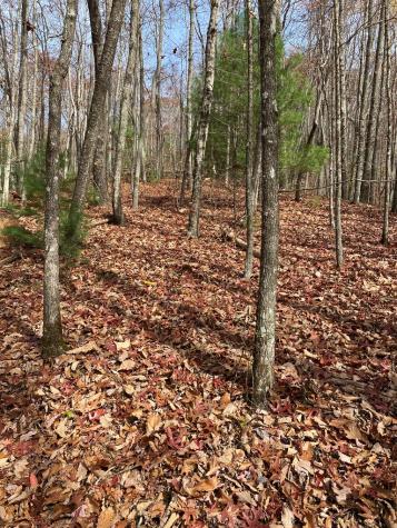 L334 335 Brushy Top Drive Ellijay GA 30540