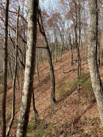 L334 335 Brushy Top Drive Ellijay GA 30540