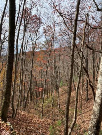 L334 335 Brushy Top Drive Ellijay GA 30540