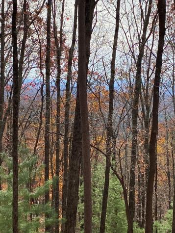 L334 335 Brushy Top Drive Ellijay GA 30540