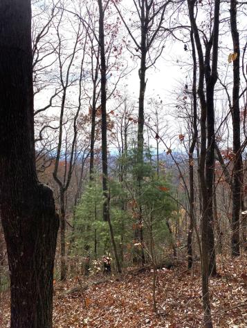 L334 335 Brushy Top Drive Ellijay GA 30540