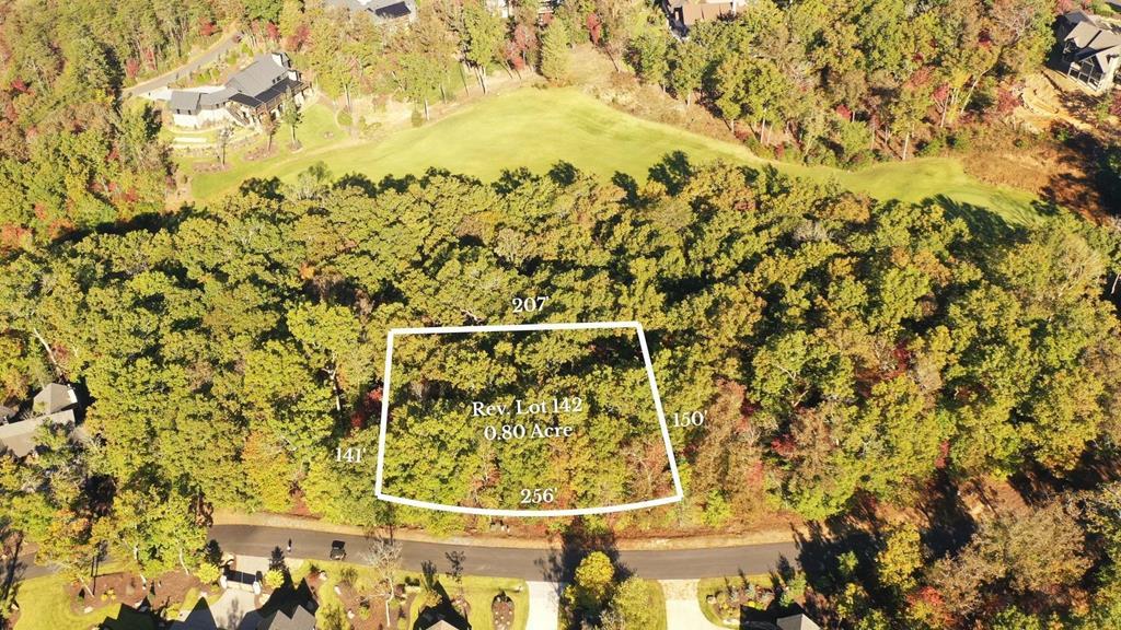 Lot 142 Hickory Way Mineral Bluff GA 30559