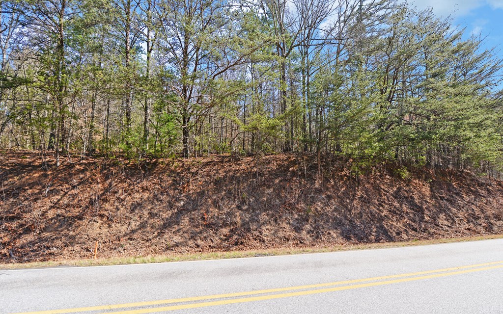 00 Owltown Road Blairsville GA 30512