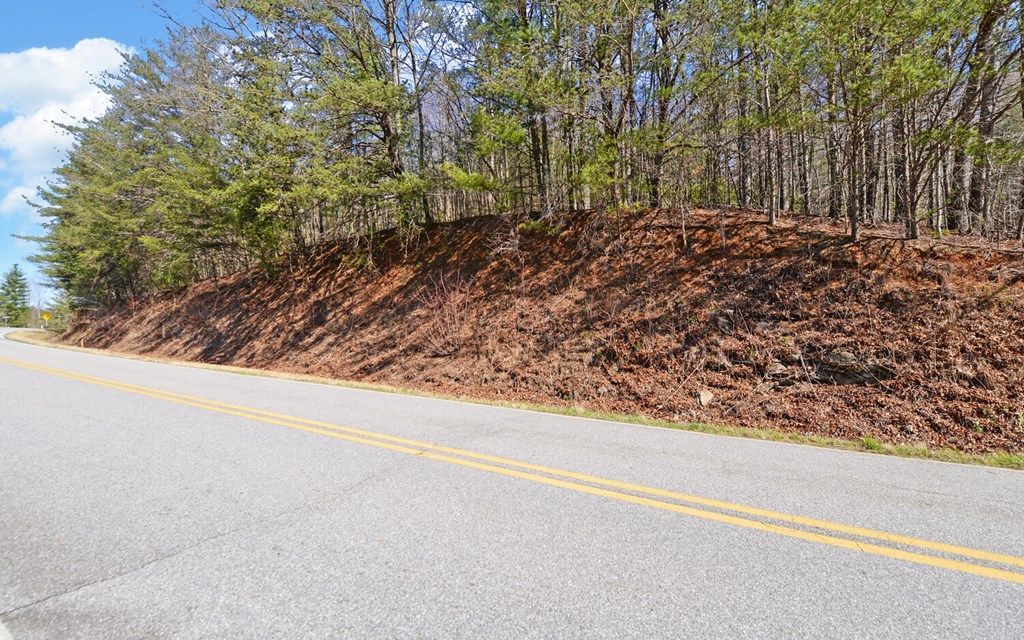 00 Owltown Road Blairsville GA 30512