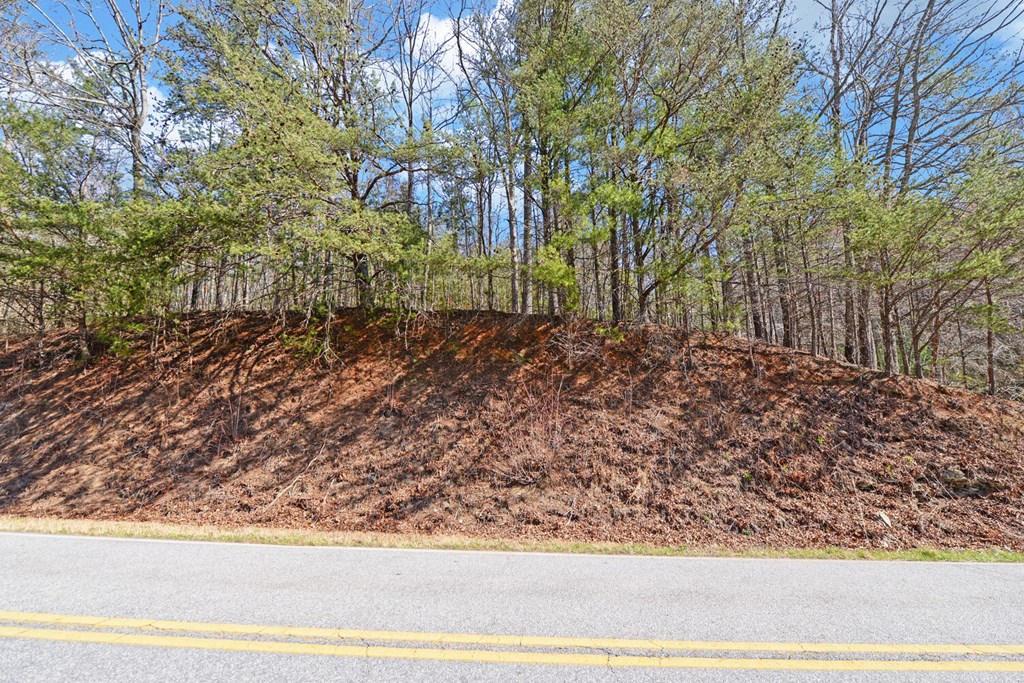 00 Owltown Road Blairsville GA 30512