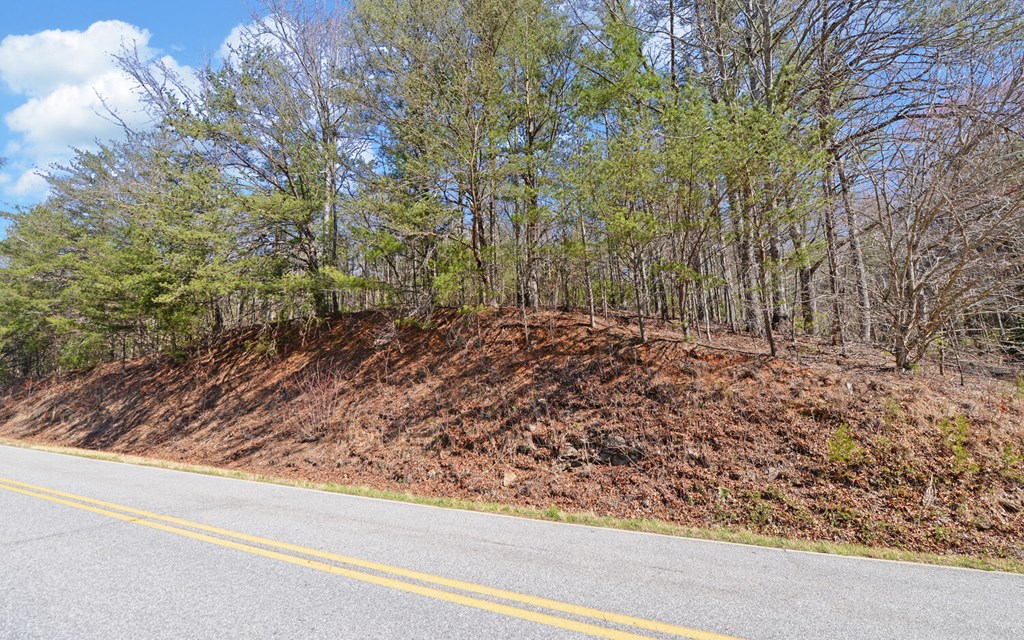 00 Owltown Road Blairsville GA 30512