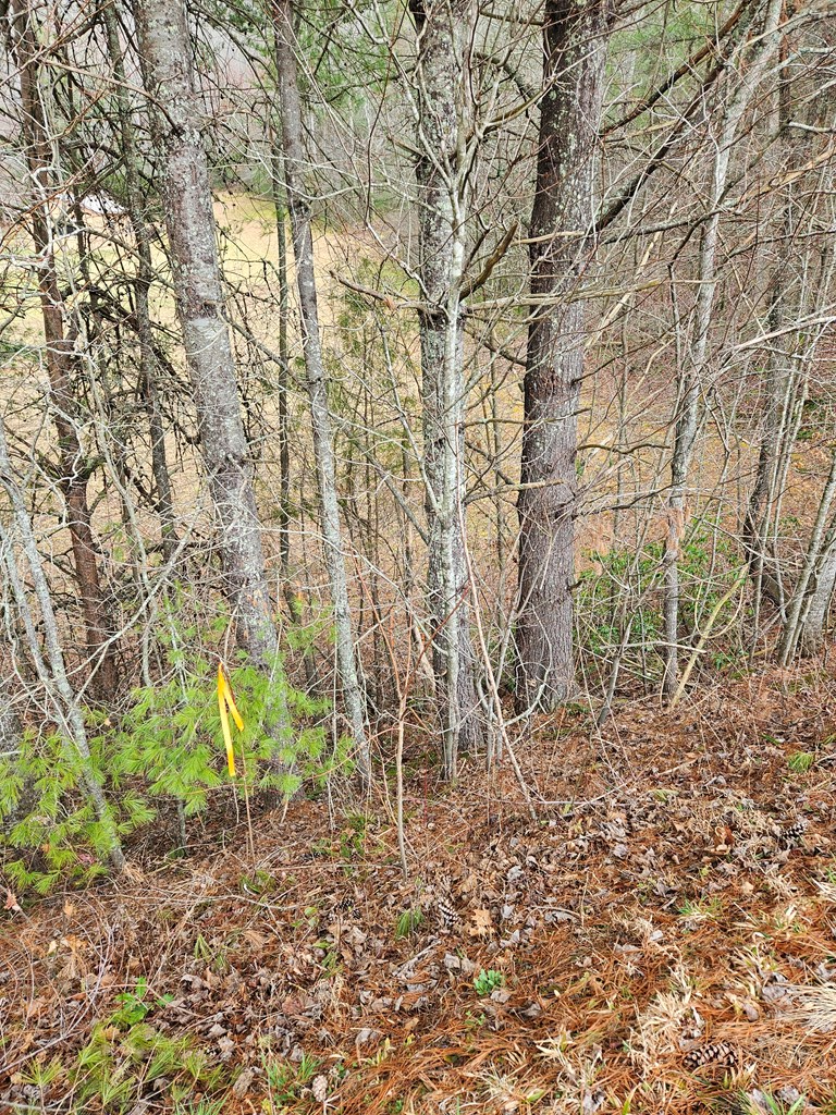 00 Owltown Road Blairsville GA 30512