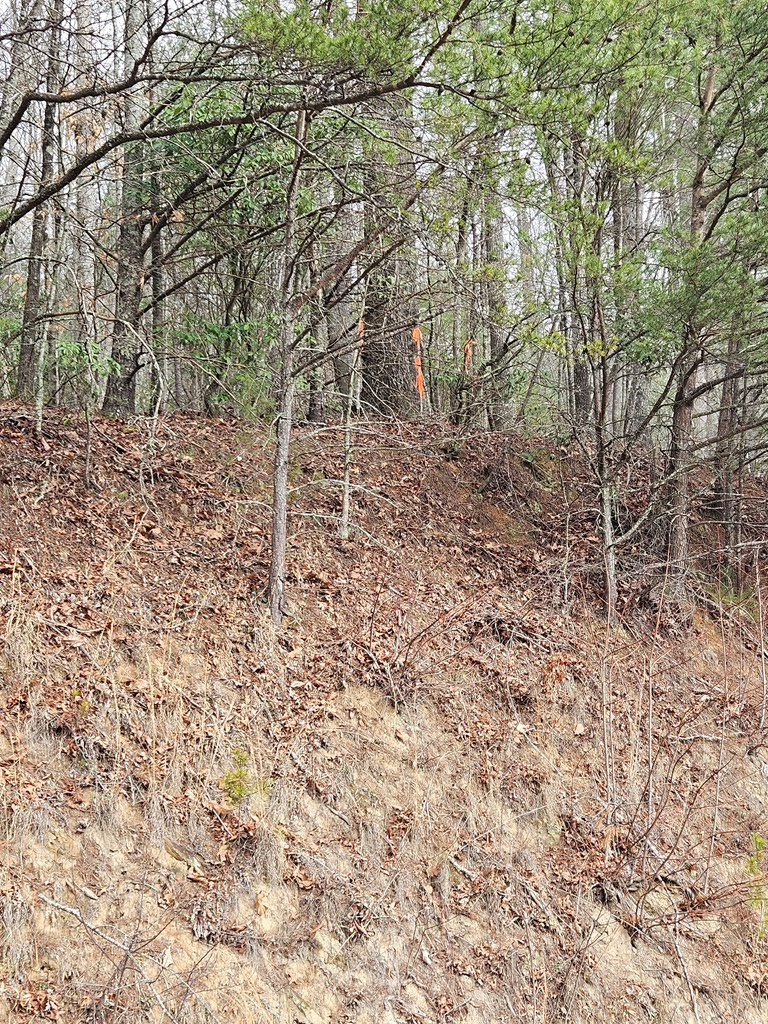 00 Owltown Road Blairsville GA 30512