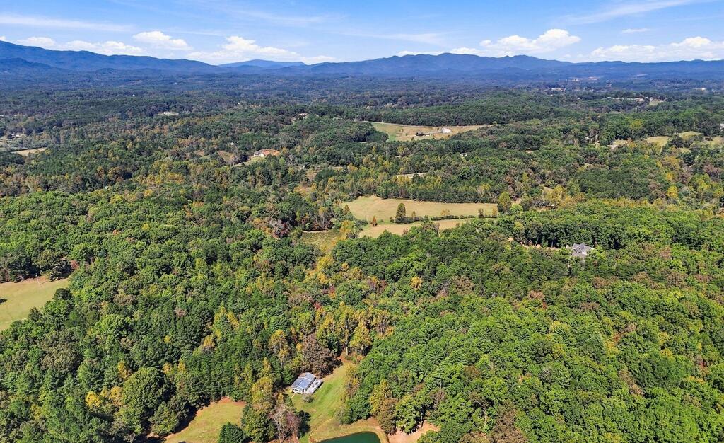 456 Nicholson Road Blue Ridge GA 30513