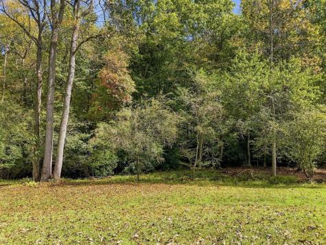 456 Nicholson Road Blue Ridge GA 30513
