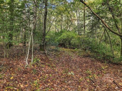456 Nicholson Road Blue Ridge GA 30513