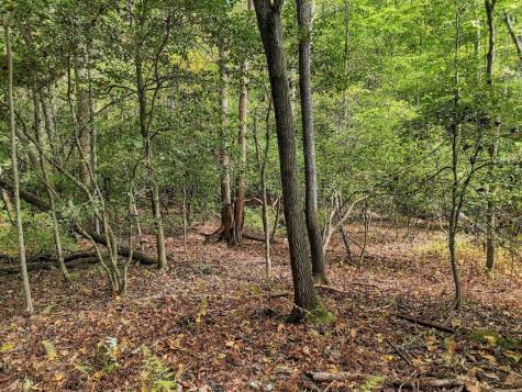 456 Nicholson Road Blue Ridge GA 30513