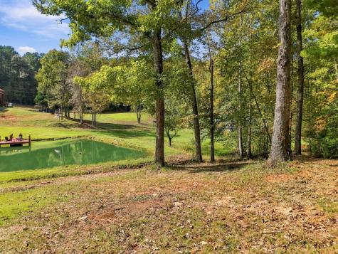 456 Nicholson Road Blue Ridge GA 30513