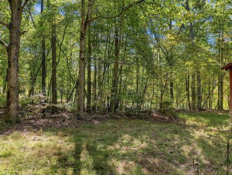 456 Nicholson Road Blue Ridge GA 30513