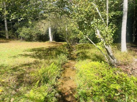 456 Nicholson Road Blue Ridge GA 30513