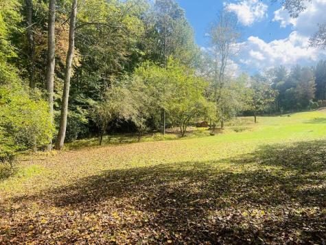 456 Nicholson Road Blue Ridge GA 30513