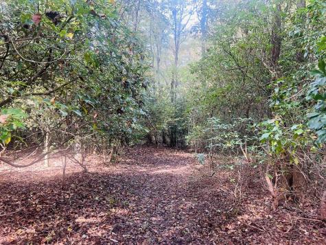 456 Nicholson Road Blue Ridge GA 30513