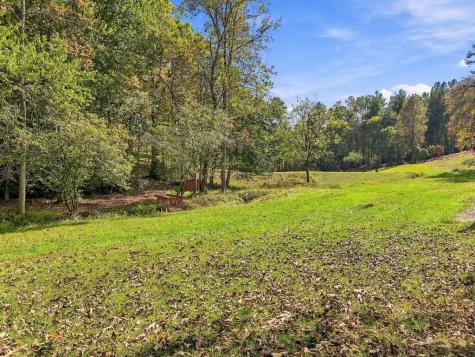 456 Nicholson Road Blue Ridge GA 30513