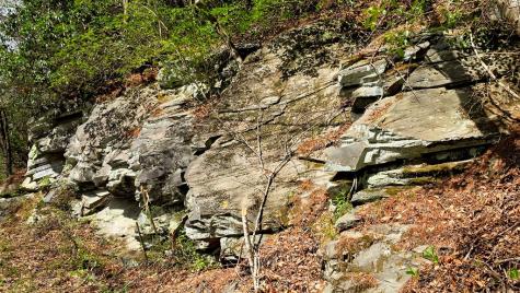 Lot 5 Gold Ridge Trail Cherry Log GA 30522