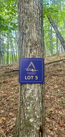 Lot 5 Gold Ridge Trail Cherry Log GA 30522