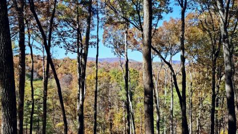 Lot 5 Gold Ridge Trail Cherry Log GA 30522