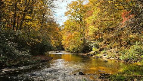 Lot 5 Gold Ridge Trail Cherry Log GA 30522