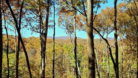 Lot 5 Gold Ridge Trail Cherry Log GA 30522