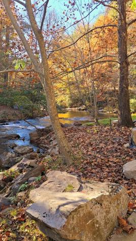 Lot 5 Gold Ridge Trail Cherry Log GA 30522