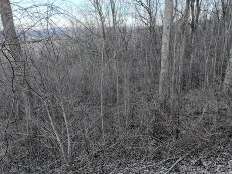 279 Andes Ridge Ellijay GA 30536