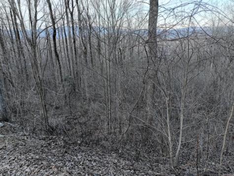 279 Andes Ridge Ellijay GA 30536