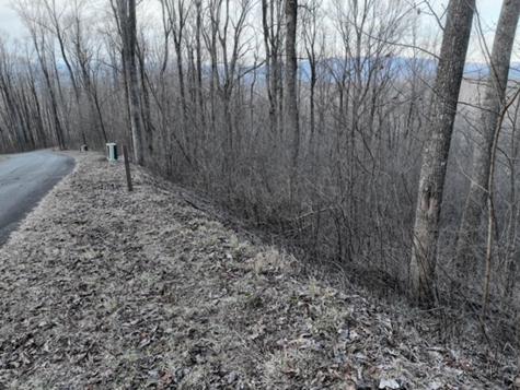 279 Andes Ridge Ellijay GA 30536