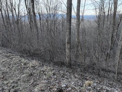 279 Andes Ridge Ellijay GA 30536