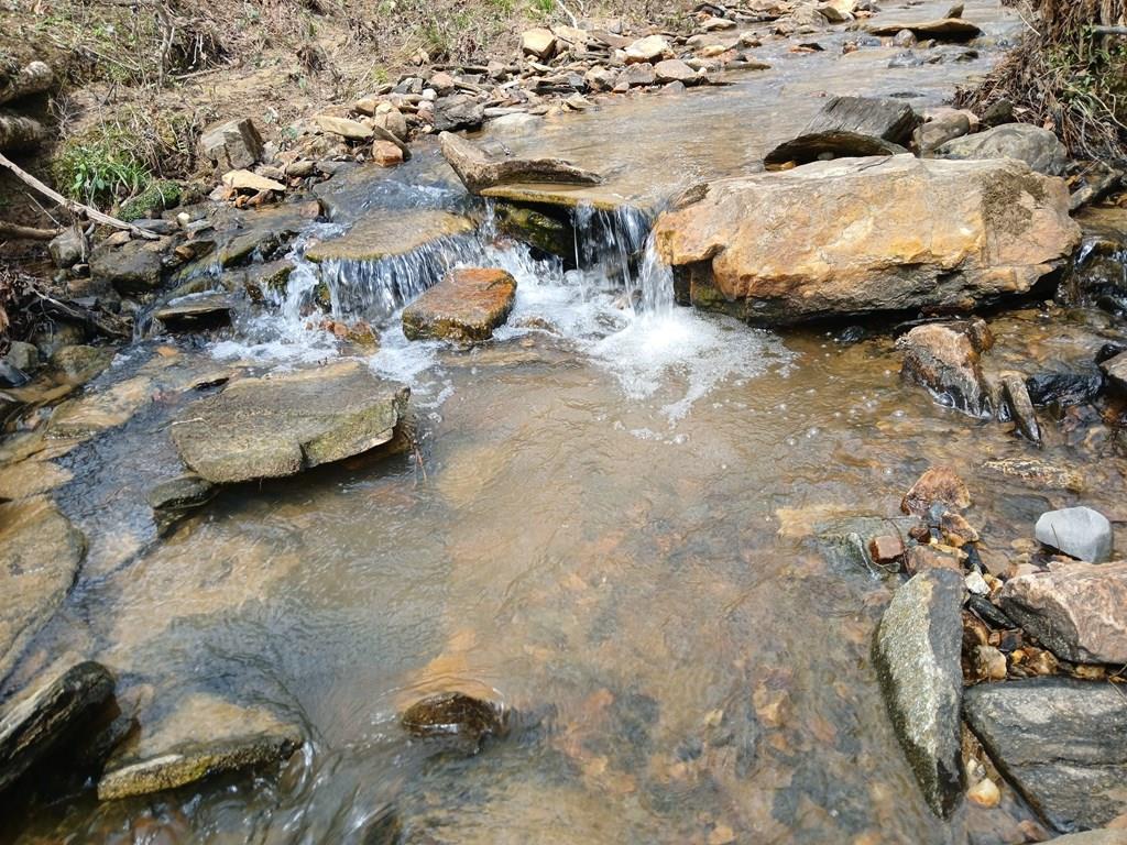 Lot 337 Timber Creek Trail Talking Rock GA 30175