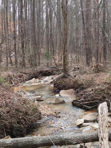 Lot 337 Timber Creek Trail Talking Rock GA 30175