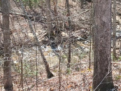 Lot 337 Timber Creek Trail Talking Rock GA 30175