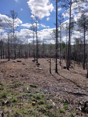 Lot 337 Timber Creek Trail Talking Rock GA 30175